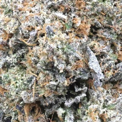 Death Valley | The Bulk Guys | AAAA | Premium Weed | Cheap Bulk Guys | Flash Sale