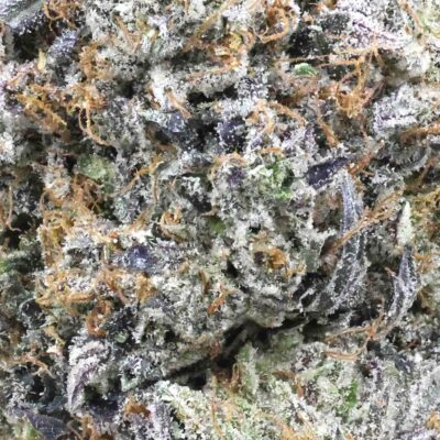Death master | The Bulk Guys | AAAA | Premium Weed | Cheap Bulk Guys | Flash Sale