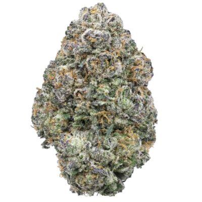 Gary Payton | The Bulk Guys | AAAA | Premium Weed | Cheap Bulk Guys | Flash Sale