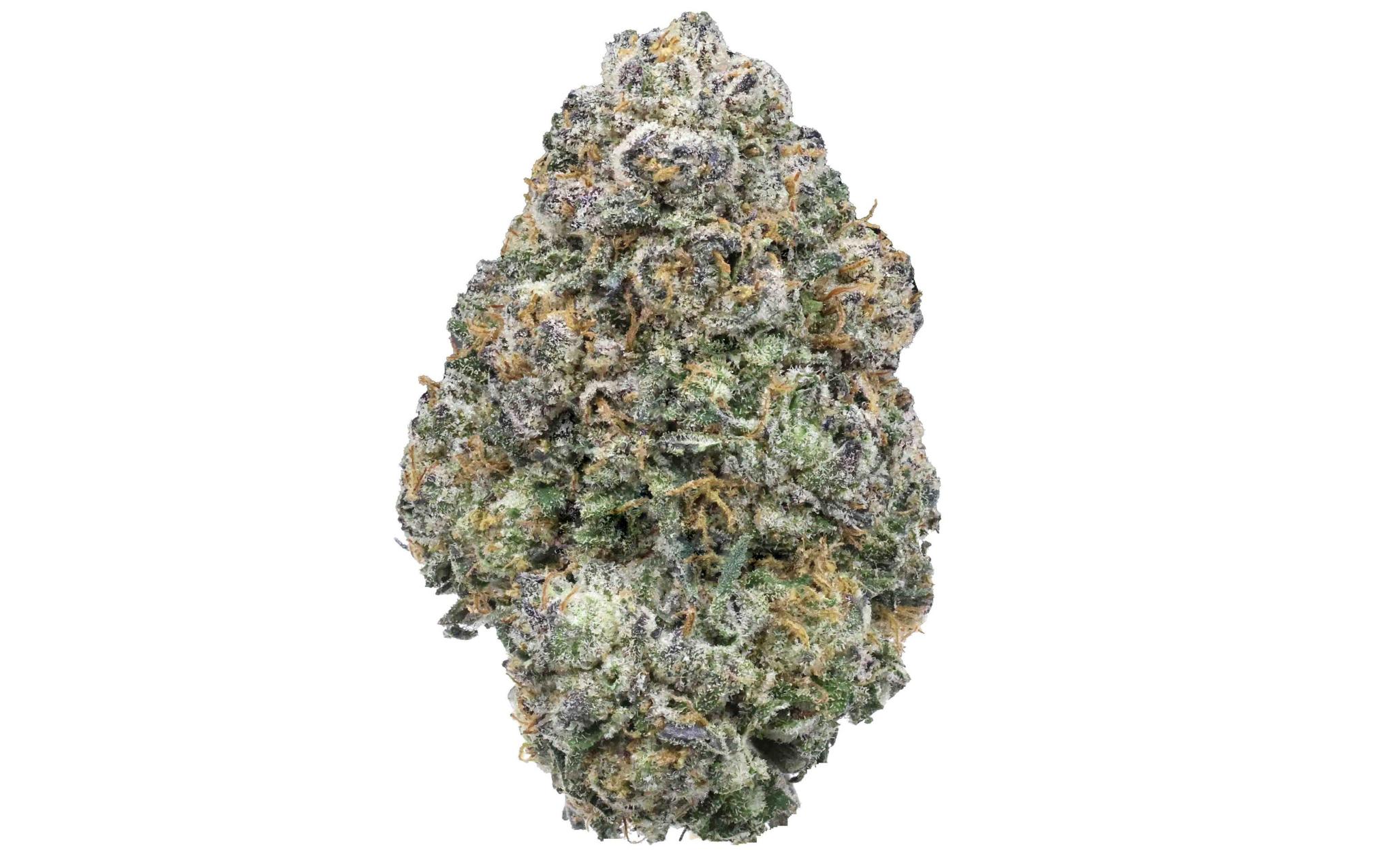 Gary Payton | The Bulk Guys | AAAA | Premium Weed | Cheap Bulk Guys | Flash Sale