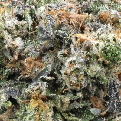 Greasy pink | The Bulk Guys | AAAA | Premium Weed | Cheap Bulk Guys | Flash Sale