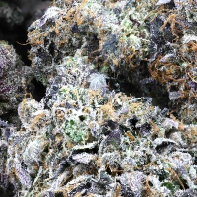High Octore | The Bulk Guys | AAAA | Premium Weed | Cheap Bulk Guys | Flash Sale