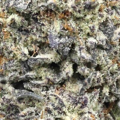 Oreos | The Bulk Guys | AAAA | Premium Weed | Cheap Bulk Guys | Flash Sale