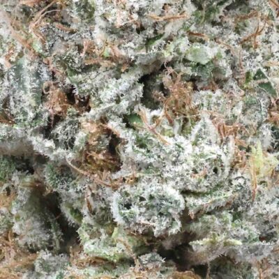 Pink Panties | The Bulk Guys | AAAA | Premium Weed | Cheap Bulk Guys | Flash Sale