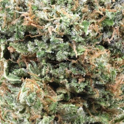 Pink bubba | The Bulk Guys | AAAA | Premium Weed | Cheap Bulk Guys | Flash Sale