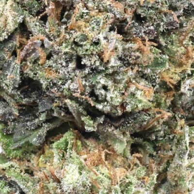 Rockstar Tuna | The Bulk Guys | AAAA | Premium Weed | Cheap Bulk Guys | Flash Sale