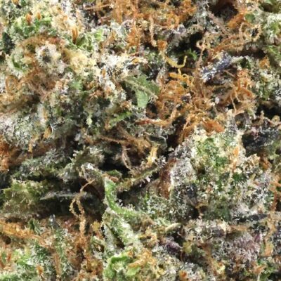 Star master kush | The Bulk Guys | AAAA | Premium Weed | Cheap Bulk Guys | Flash Sale