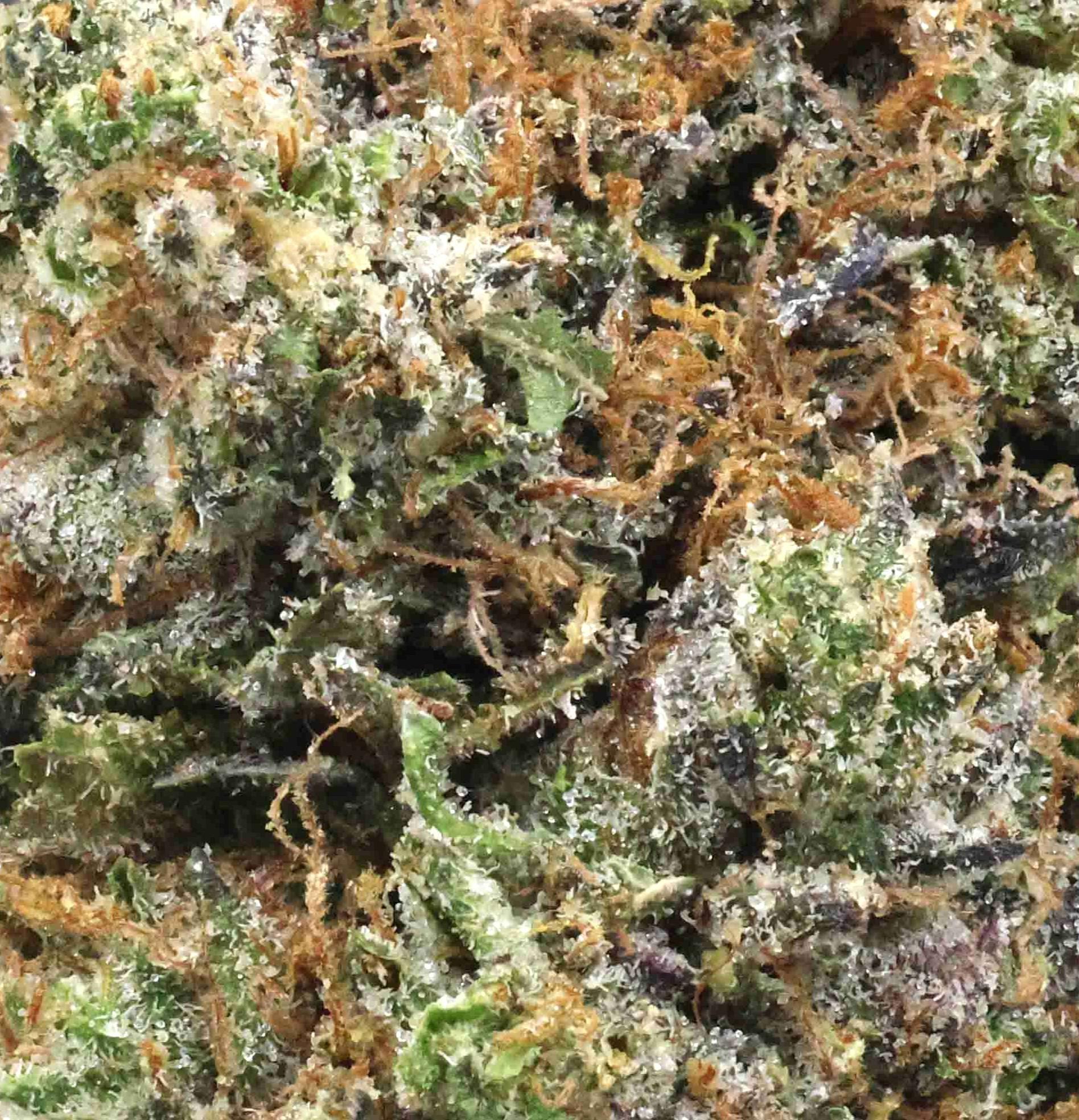 Star master kush | The Bulk Guys | AAAA | Premium Weed | Cheap Bulk Guys | Flash Sale