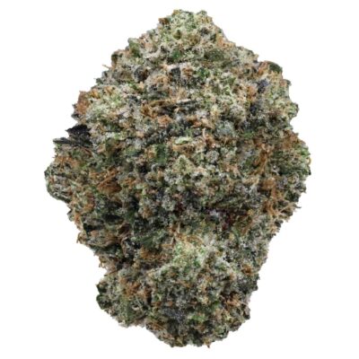 Dank Sinatra | The Bulk Guys | AAAA | Premium Weed | Cheap Bulk Guys | Flash Sale