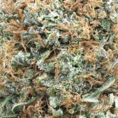 Platinum pink | The Bulk Guys | AAAA | Premium Weed | Cheap Bulk Guys | Flash Sale