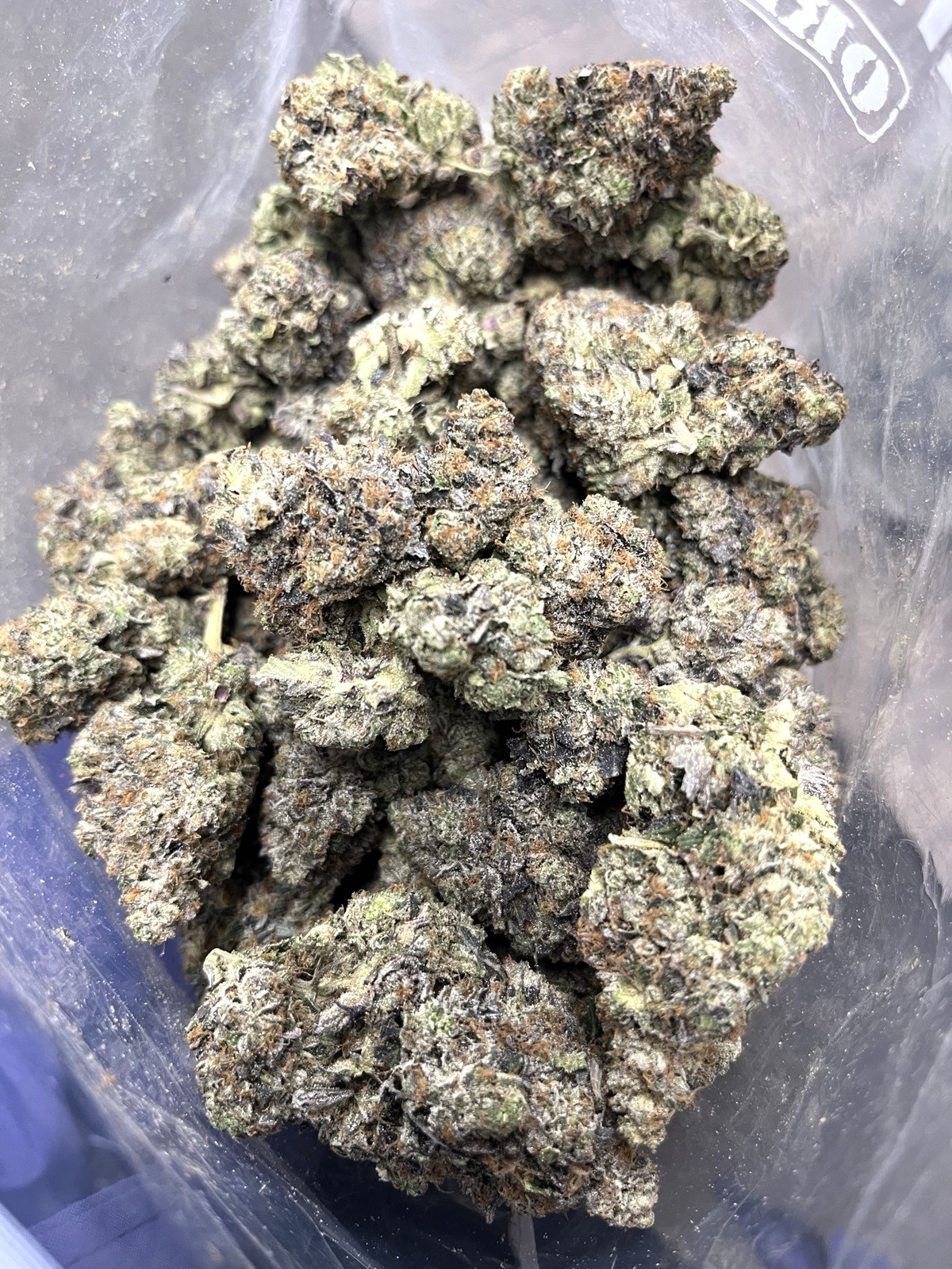 Coastal Pink | The Bulk Guys | AAAA | Premium Weed | Cheap Bulk Guys | Flash Sale