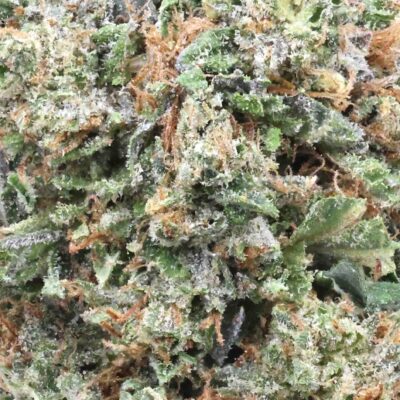 Exclusive OG | The Bulk Guys | AAAA | Premium Weed | Cheap Bulk Guys | Flash Sale