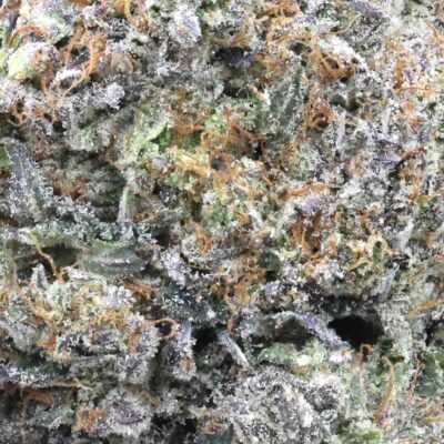 Galactic Death Star | The Bulk Guys | AAAA | Premium Weed | Cheap Bulk Guys | Flash Sale