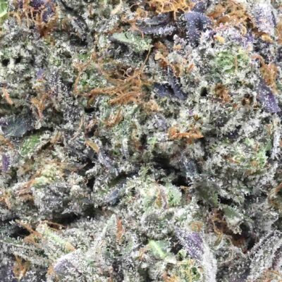 Gas Mask | The Bulk Guys | AAAA | Premium Weed | Cheap Bulk Guys | Flash Sale