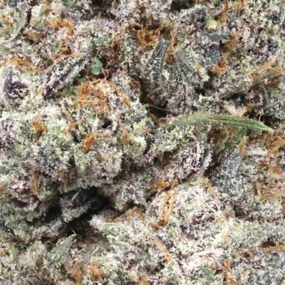 Jet fuel | The Bulk Guys | AAAA | Premium Weed | Cheap Bulk Guys | Flash Sale