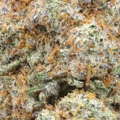 Mendo skunk | The Bulk Guys | AAAA | Premium Weed | Cheap Bulk Guys | Flash Sale